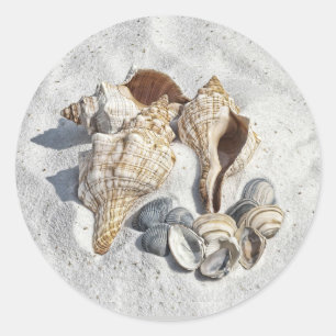 A Collection of Seashells on Sand Classic Round Sticker