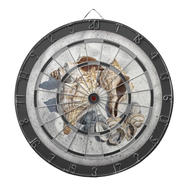 A Collection of Seashells on Sand Dartboard (Front)