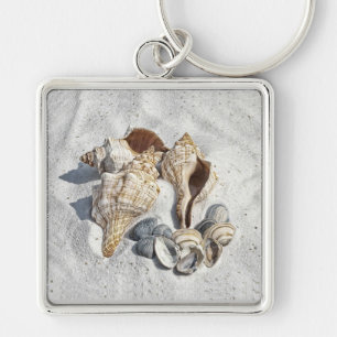 A Collection of Seashells on Sand Key Ring