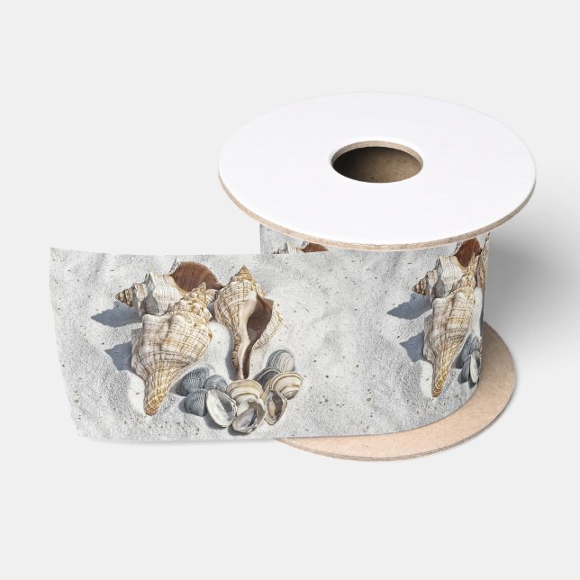 A Collection of Seashells on Sand Satin Ribbon (Spool)