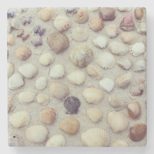 A Collection Of Seashells Stone Coaster (Front)