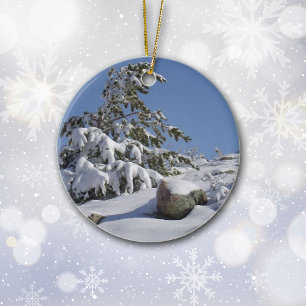A Colorado Christmas Pine Tree Ornament