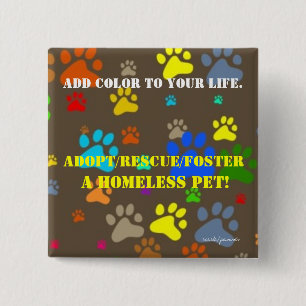 A colourful pin saying how pets add colour to life