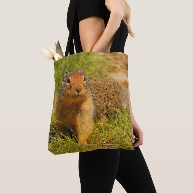 A Columbian Ground Squirrel Approaches Tote Bag (Close Up)