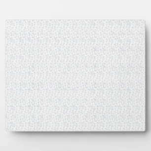 A completely white, featureless surface fills the  plaque