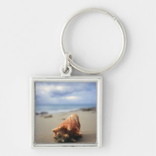 A Conch Shell On The Beach St. Croix, Usvi Key Ring