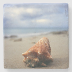 A Conch Shell On The Beach St. Croix, Usvi Stone Coaster