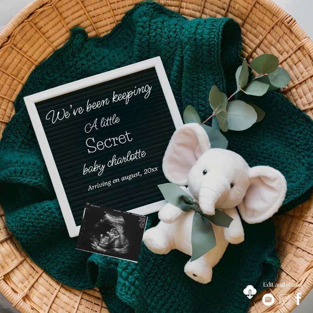 A cosy Neutral basket pregnancy announcement  (Creator Uploaded)