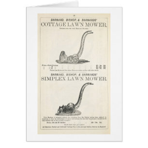 A Cottage and Simplex lawnmower, illustration from