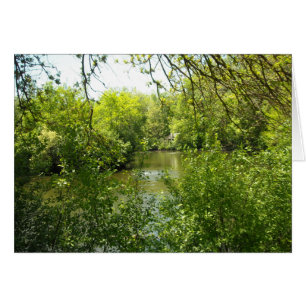 A cottage tucked away