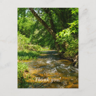 A Country Creek Postcard