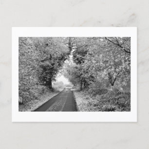 A Country Road in Winter: Cheshire, England Postcard