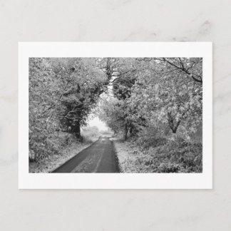 A Country Road in Winter: Cheshire, England Postcard