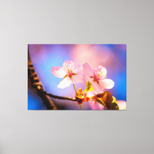 A Couple Of Sakura Flowers Canvas Print