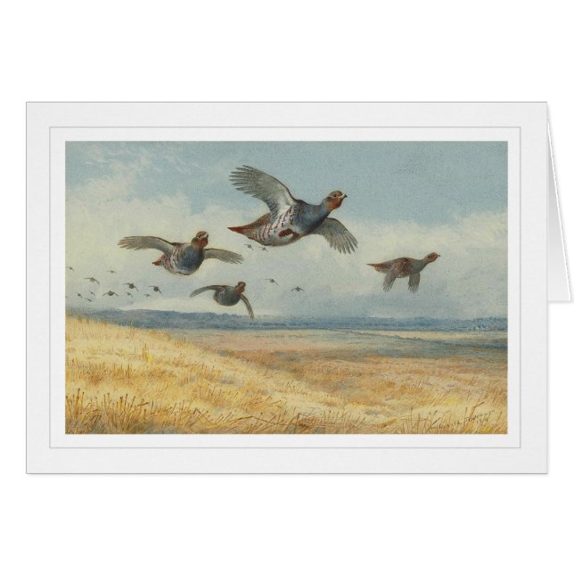 A Covey of Partridge (Front Horizontal)