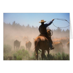 A cowboy out working the herd on a cattle