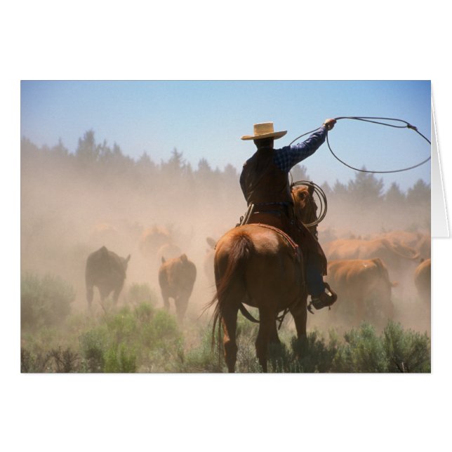 A cowboy out working the herd on a cattle (Front Horizontal)
