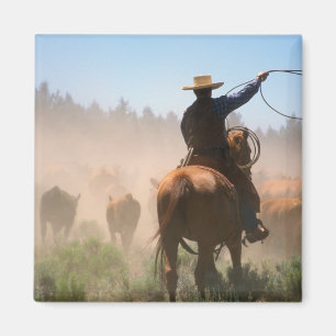 A cowboy out working the herd on a cattle magnet