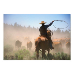 A cowboy out working the herd on a cattle photo print