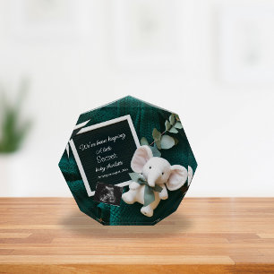 A cozy Neutral basket pregnancy announcement  Photo Block