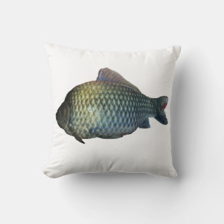 a crucian carpa cushion