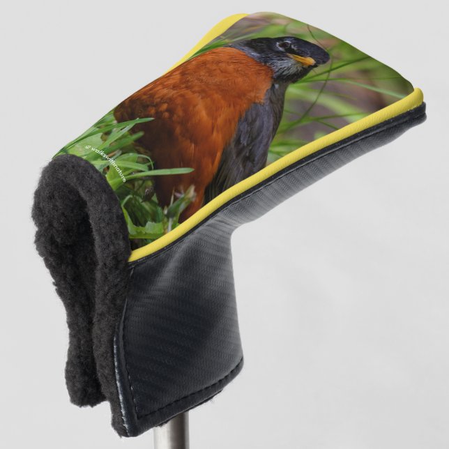 A Curious American Robin in the Grass Golf Head Cover (3/4 Front)