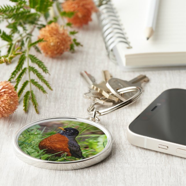 A Curious American Robin in the Grass Key Ring (Side)