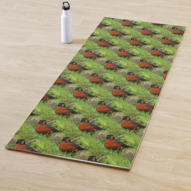 A Curious American Robin Yoga Mat (In Situ)