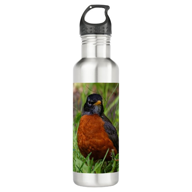 A Curious and Hopeful American Robin 710 Ml Water Bottle (Front)