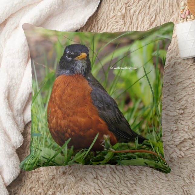 A Curious and Hopeful American Robin Cushion (Blanket)
