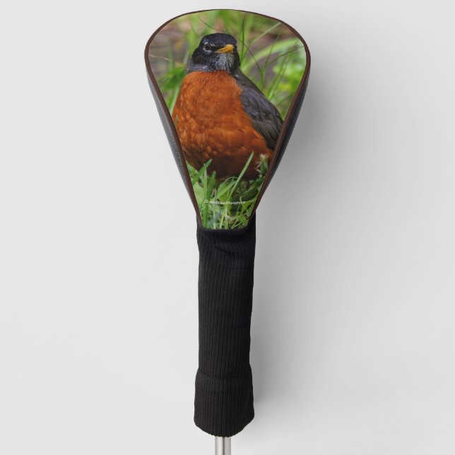 A Curious and Hopeful American Robin Golf Head Cover (Front)