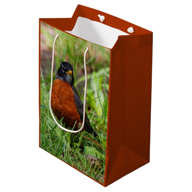 A Curious and Hopeful American Robin Medium Gift Bag (Front Angled)