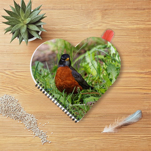A Curious and Hopeful American Robin Notebook (Curious American Robin in the Grass Journal Cover Photo)