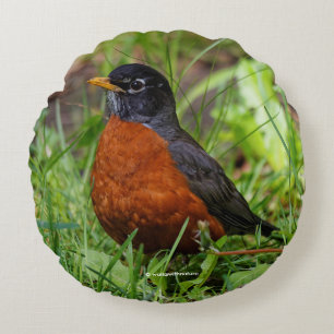 A Curious and Hopeful American Robin Round Cushion