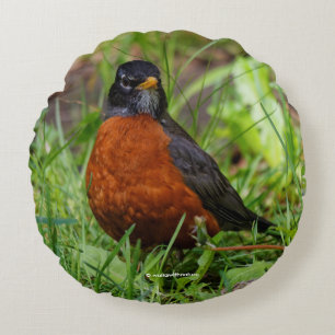 A Curious and Hopeful American Robin Round Cushion