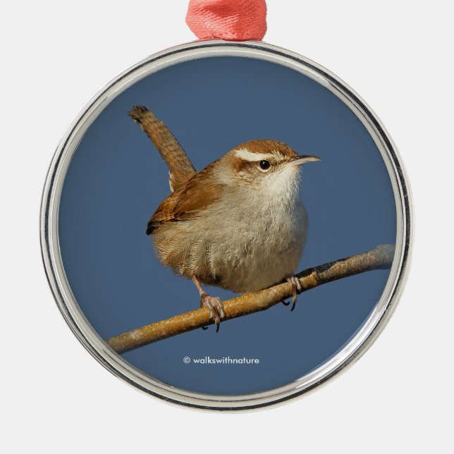 A Curious Bewick's Wren in the Tree Metal Tree Decoration (Front)