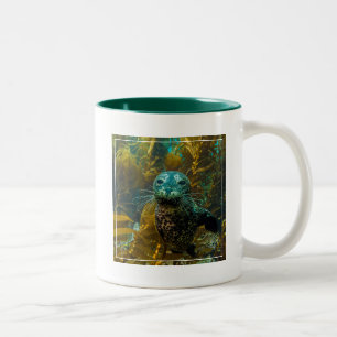 A Curious Harbour Seal Kelp Forest   Santa Barbara Two-Tone Coffee Mug