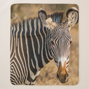 A CURIOUS ZEBRA AT SAMBURU NATIONAL RESERVE SHERPA BLANKET