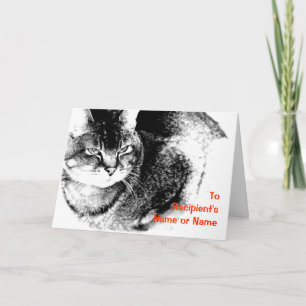 A Customizable 'Any Occasion' Greeting Card - Cat