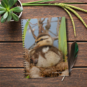 A Cute and Precocious Mallard Duckling Notebook