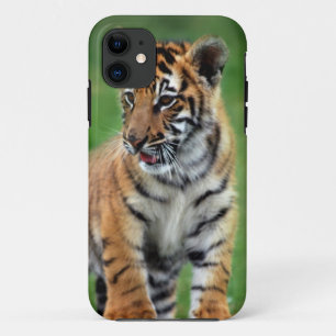 A cute baby tiger iPhone 11 case