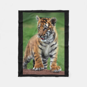 A cute baby tiger fleece blanket