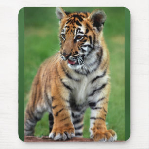 A cute baby tiger mouse mat