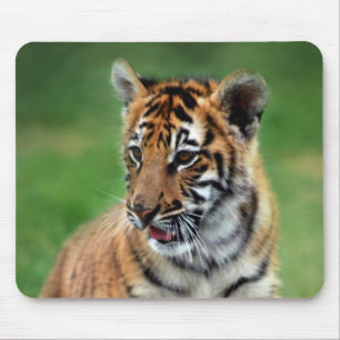 A cute baby tiger mouse mat