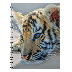 A cute baby tiger notebook