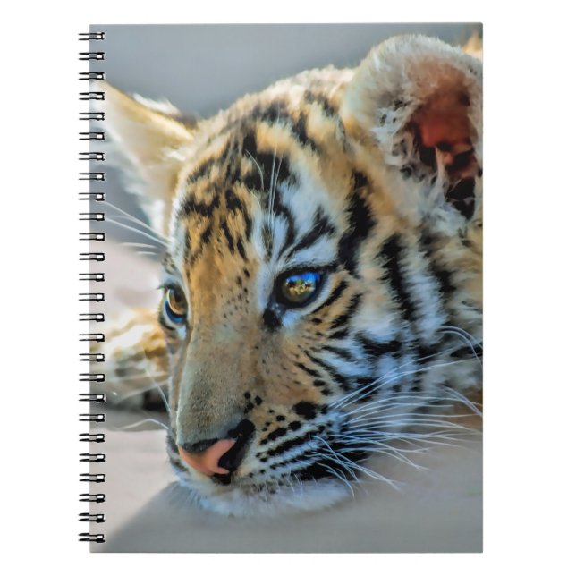 A cute baby tiger notebook (Front)