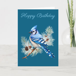 A Cute Blue Jay  Card
