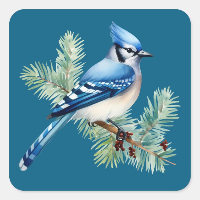 A Cute Blue Jay  Square Sticker (Front)