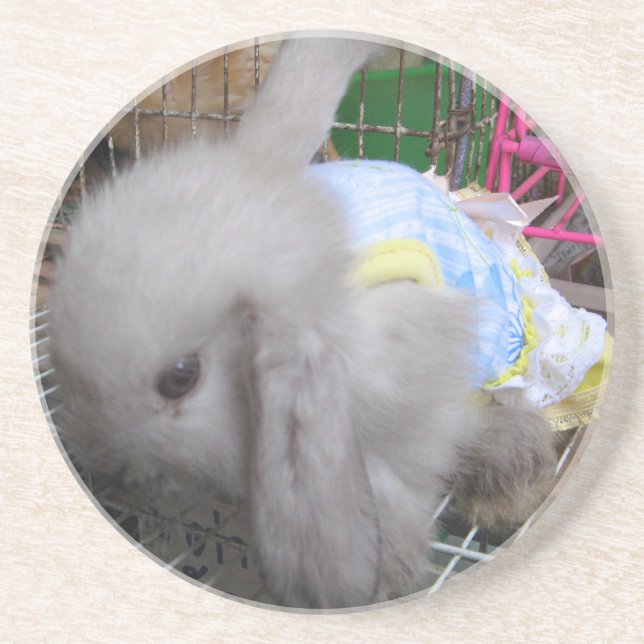 A Cute Bunny Rabbit in a Dress Coaster (Front)