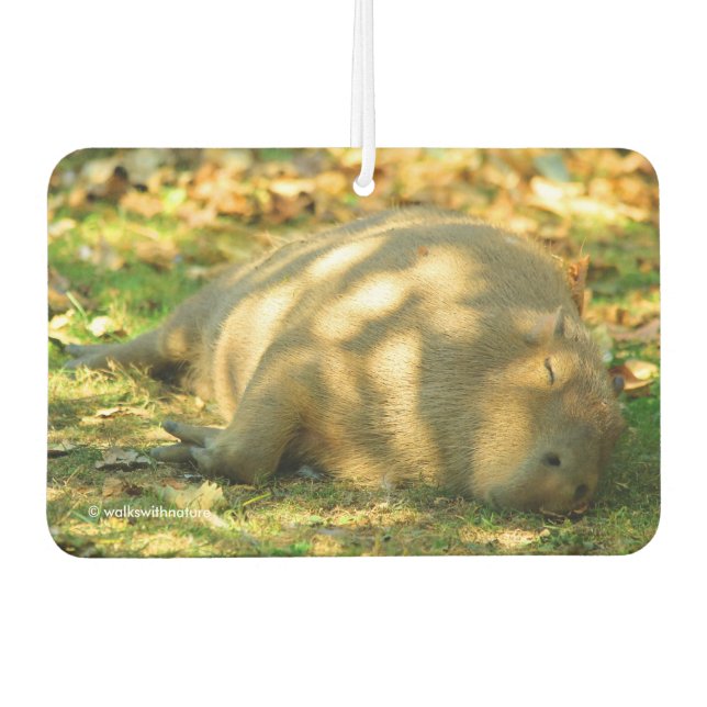 A Cute Capybara Dreams in the Summer Sun Car Air Freshener (Front)